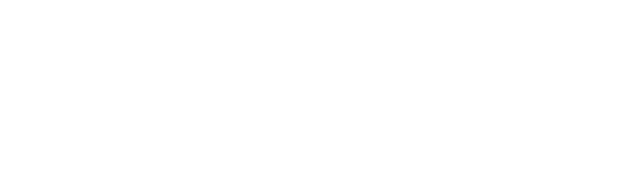 LAUTI logo